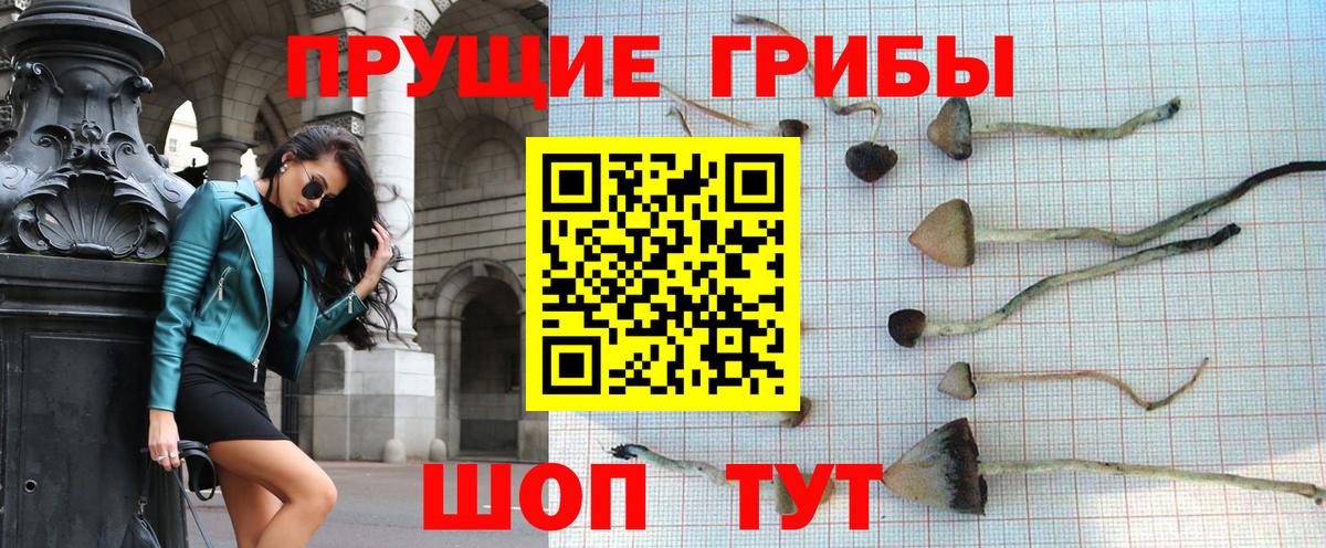Псилоцибиновые грибы мицелий  Вход с VPN  закладка  Старая Купавна 
